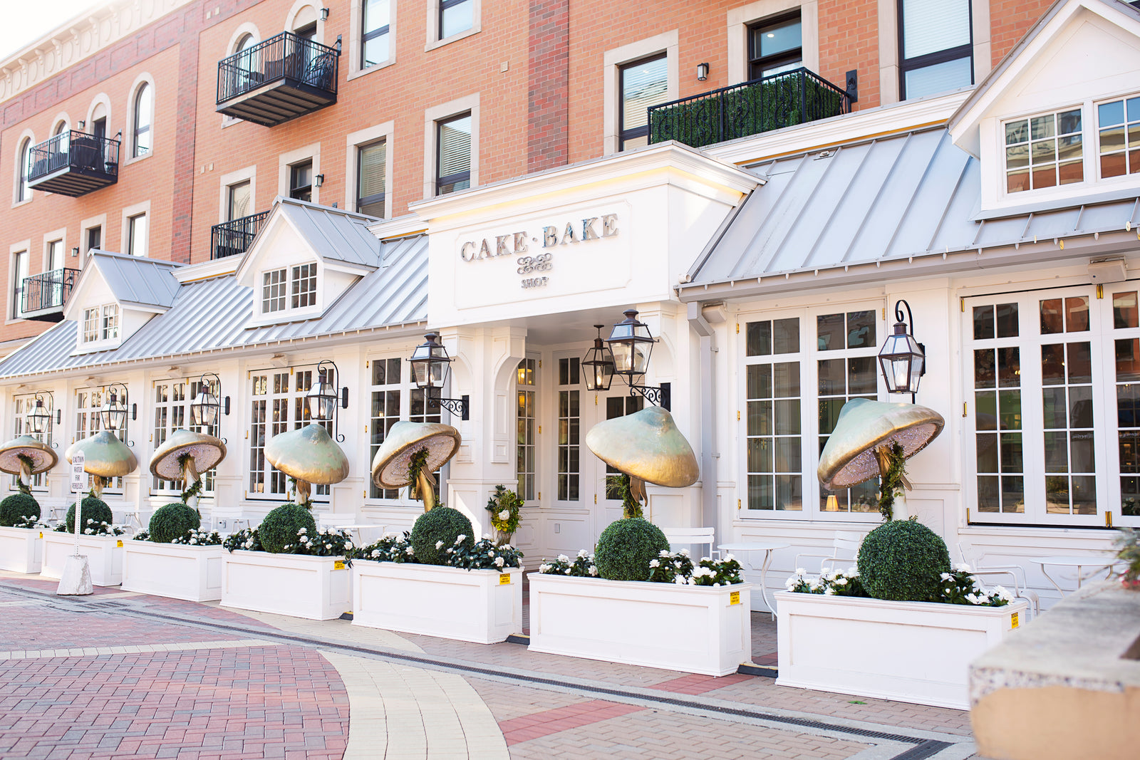 Partial & Full Buyouts