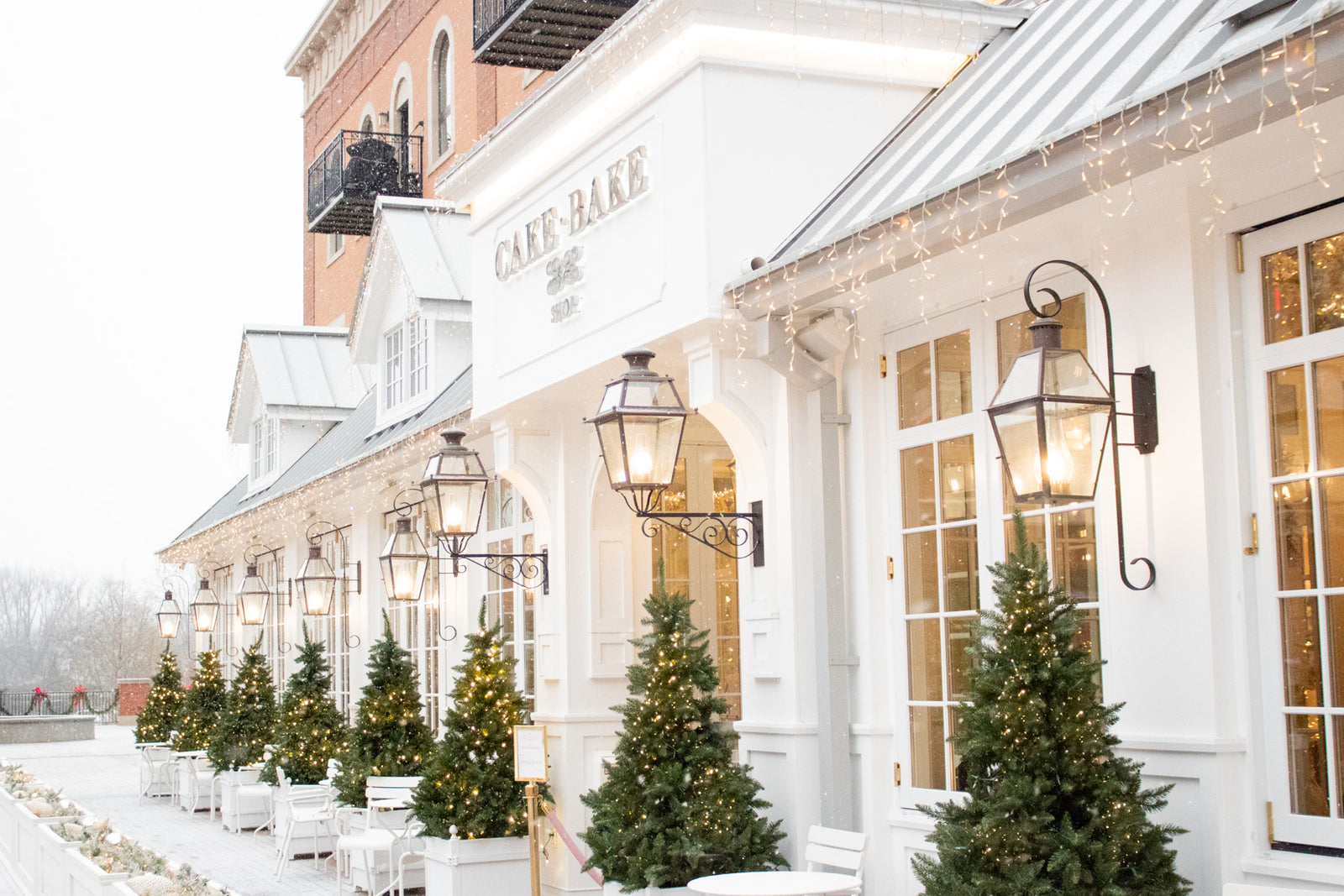 Partial & Full Buyouts