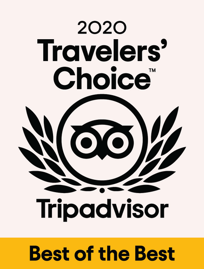 Cake Bake Shop Receives The 2020 Travelers' Choice Award For Outstanding Service