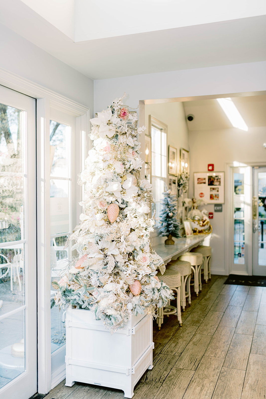 Broad Ripple Village The Cake Bake Shop®